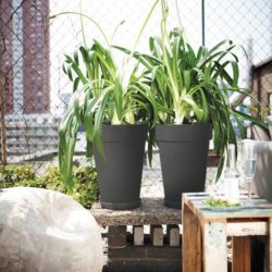 Tall Urban Pot anthracite